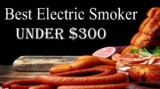 Buying Guide: Best Electric Smoker under $300