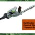 GreenWorks 22242 Pole Hedge Trimmer Review