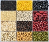 How to Make a Survival Seed Pack